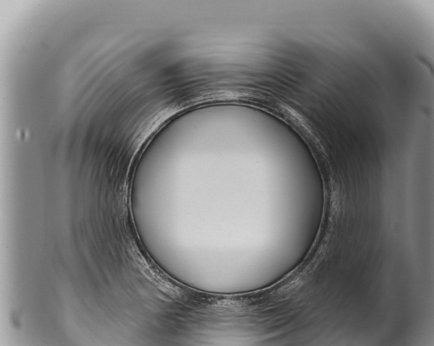 X0000100211178200806201438