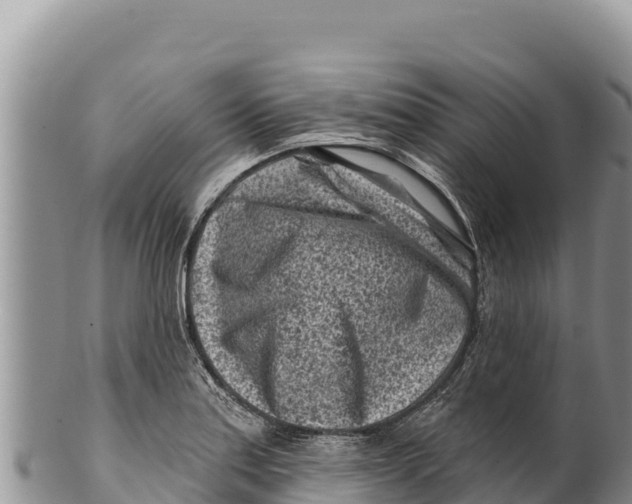 X0000100211179200806201438