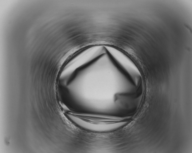 X0000100211181200806201438