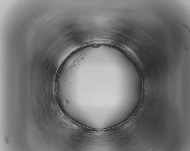 X0000100211182200806201438