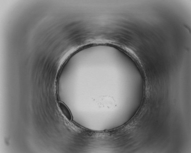 X0000100211183200806201438