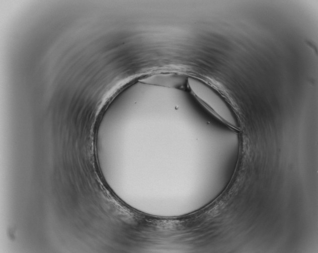 X0000100211184200806201438