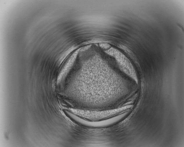 X0000100211185200806201438