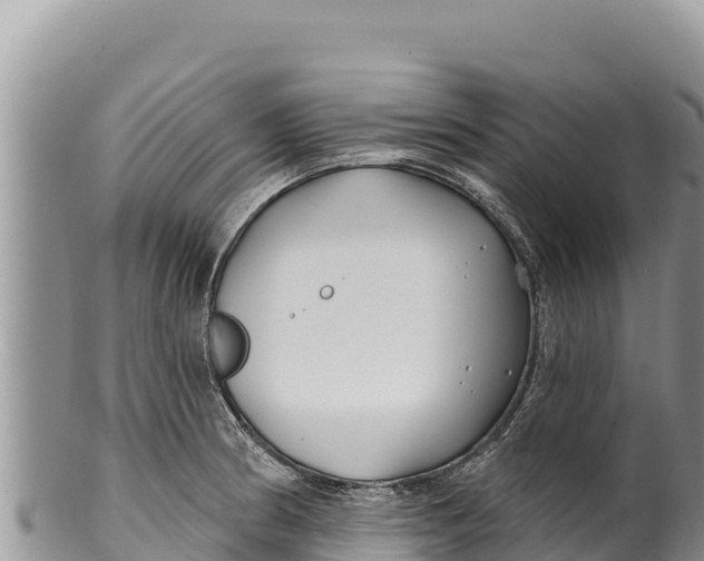 X0000100211186200806201438