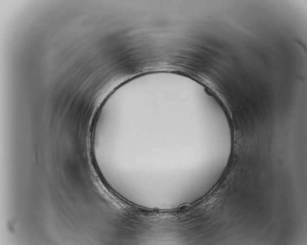 X0000100211187200806201438