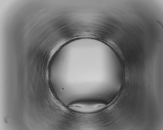 X0000100211188200806201438