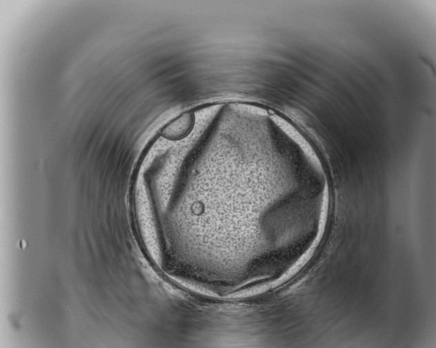 X0000100211189200806201438