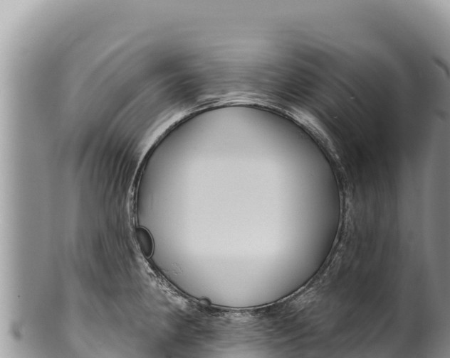 X0000100211190200806201438