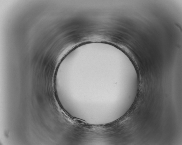 X0000100211191200806201438