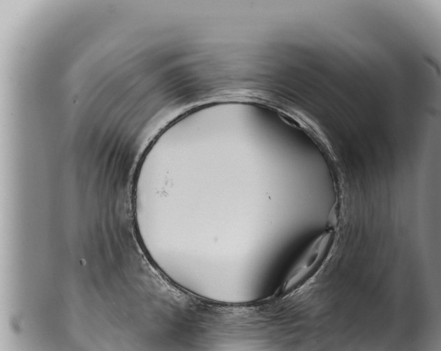 X0000100211192200806201438