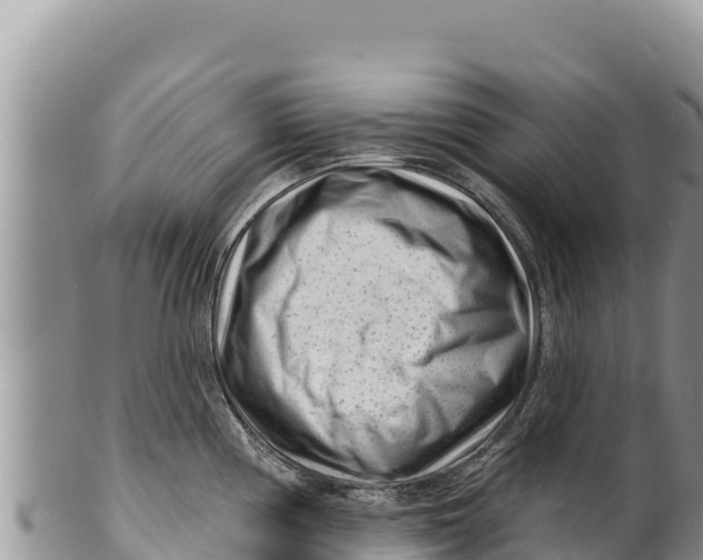 X0000100211194200806201438