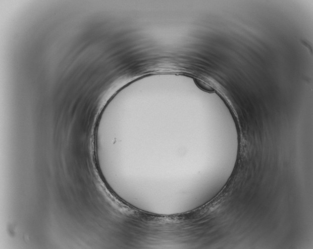 X0000100211195200806201438