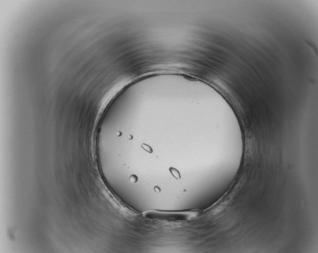 X0000100211196200806201438