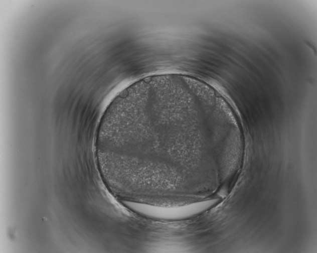 X0000100211197200806201437