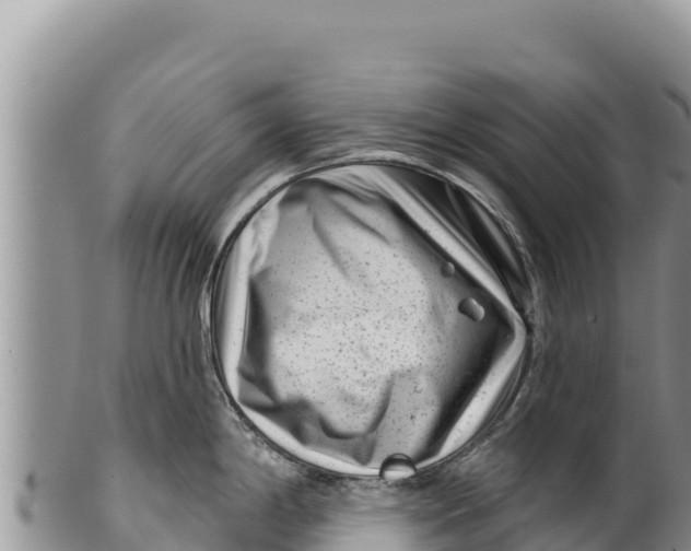 X0000100211198200806201437