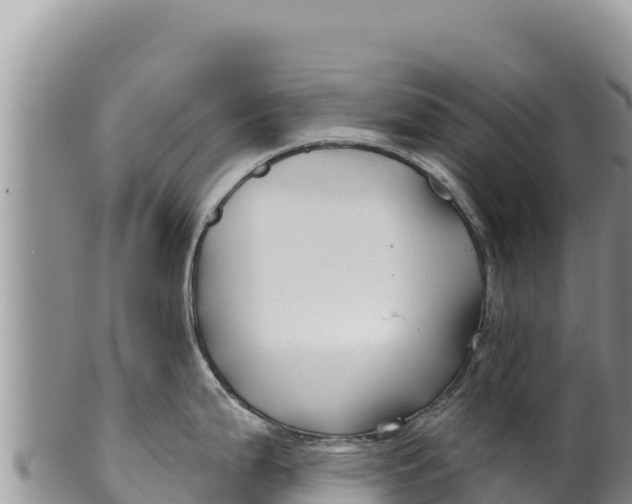 X0000100211199200806201437