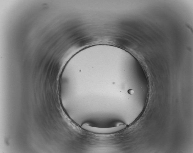 X0000100211200200806201437