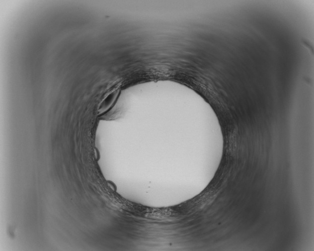 X0000100211201200806201437