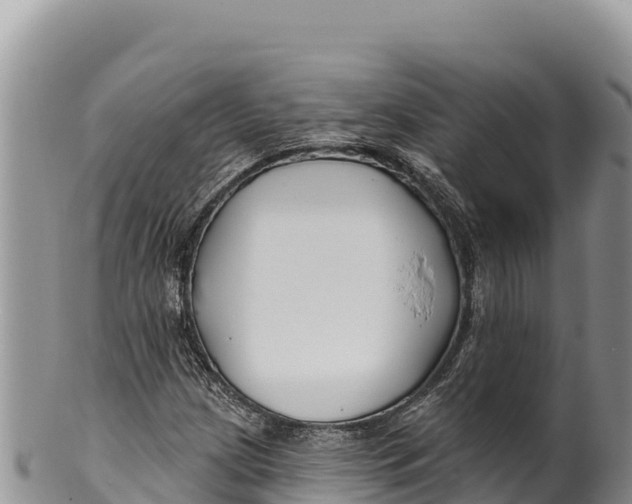 X0000100211209200806201437