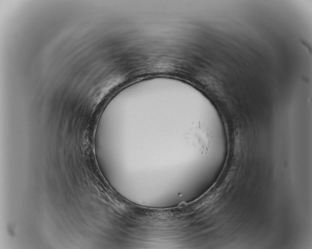 X0000100211210200806201437