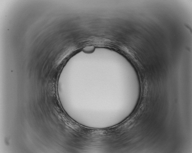 X0000100211211200806201437