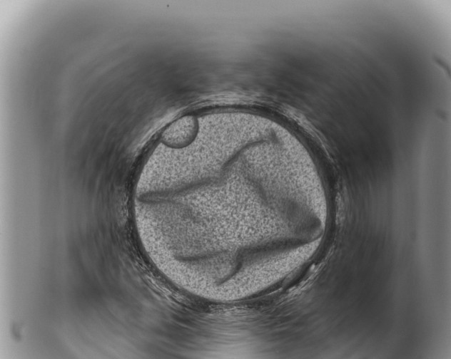 X0000100211213200806201437