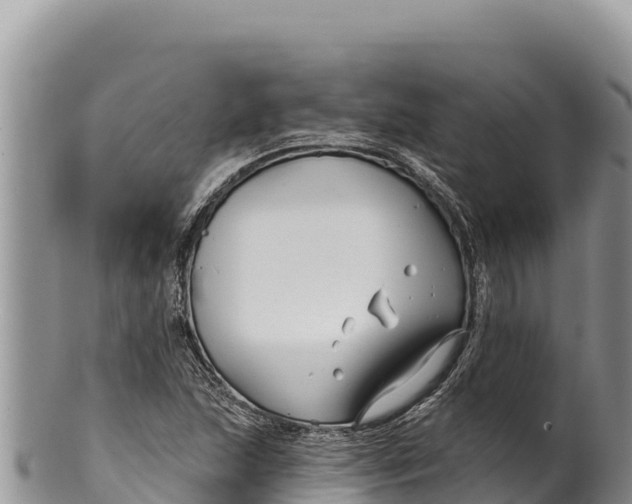 X0000100211215200806201437