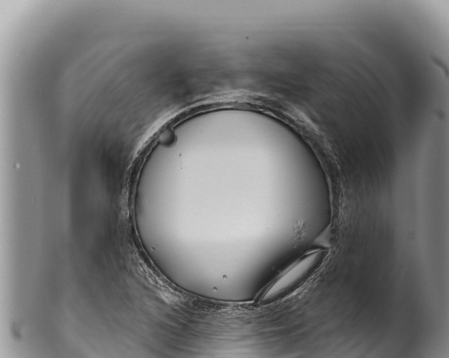 X0000100211216200806201437