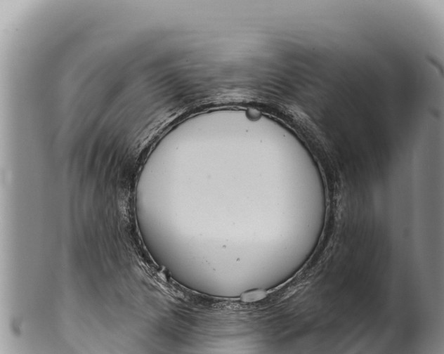 X0000100211217200806201437