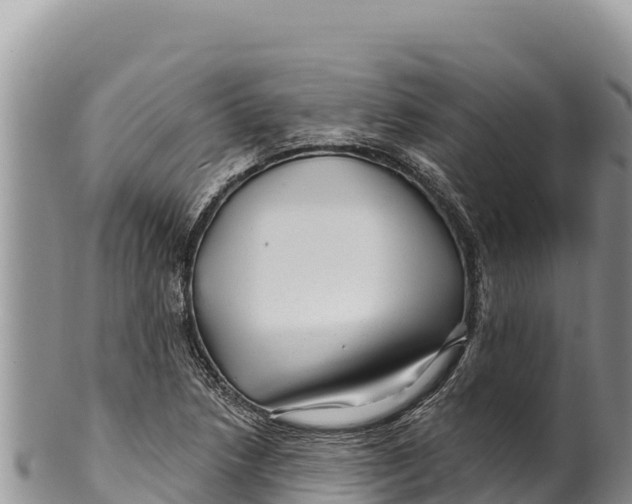 X0000100211218200806201437