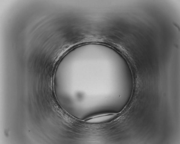 X0000100211220200806201437