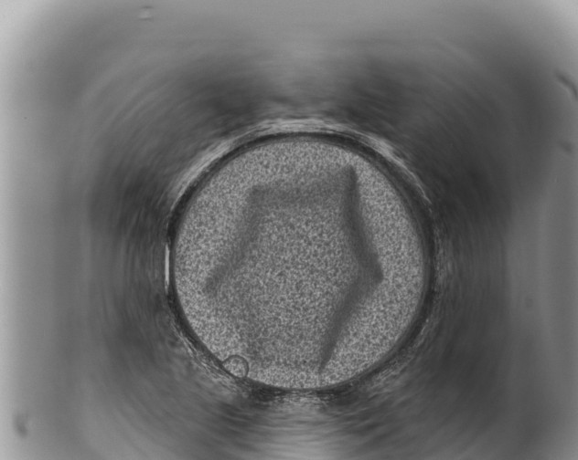 X0000100211221200806201437