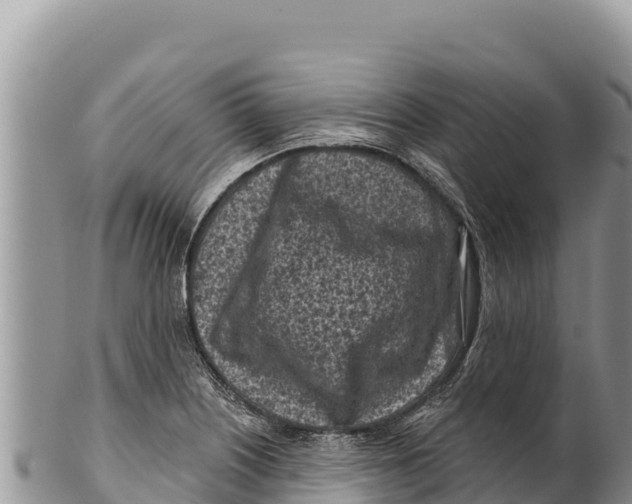 X0000100211226200806201437