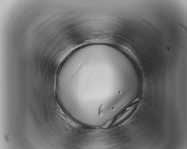 X0000100211228200806201437