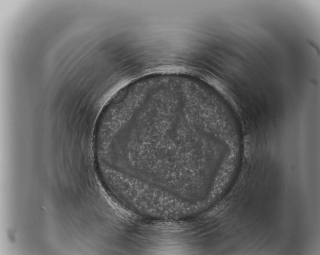 X0000100211229200806201437