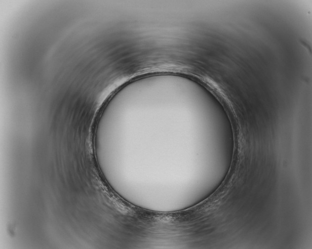 X0000100211230200806201437