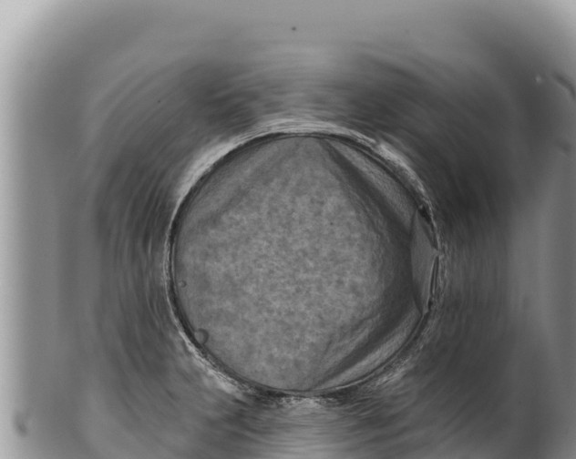 X0000100211231200806201437