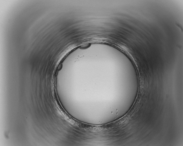 X0000100211235200806201437