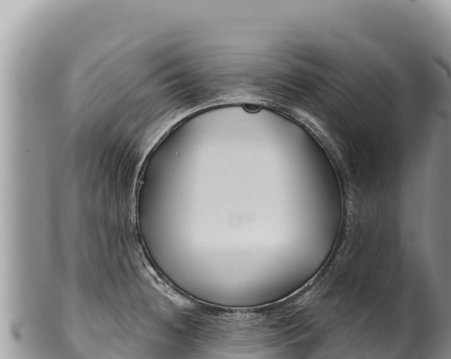 X0000100211236200806201437