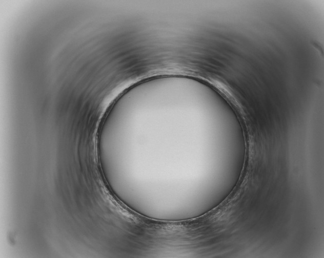 X0000100211238200806201437