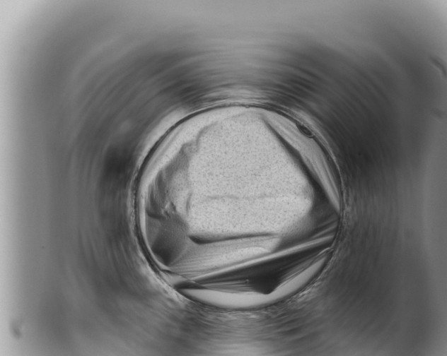 X0000100211243200806201437