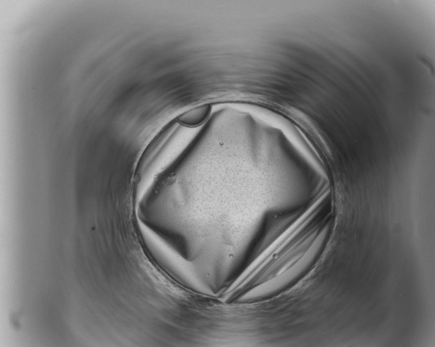 X0000100211244200806201437