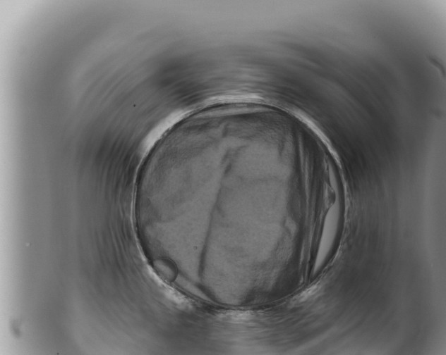 X0000100211245200806201437