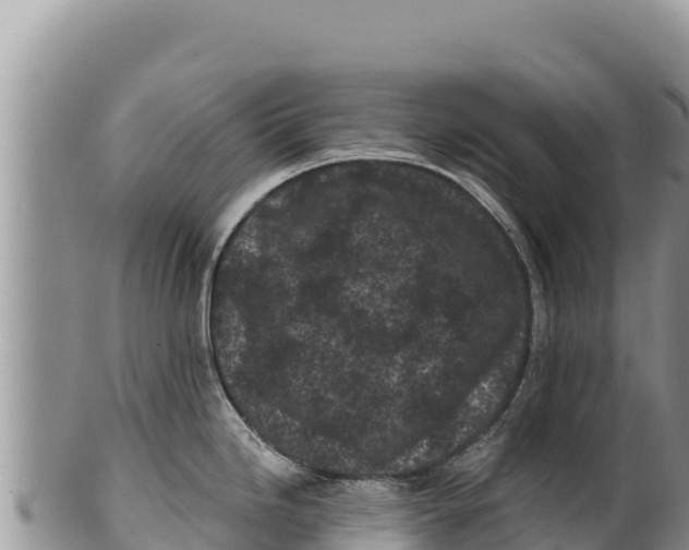 X0000100211246200806201437