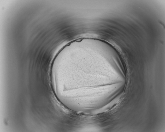 X0000100211248200806201437