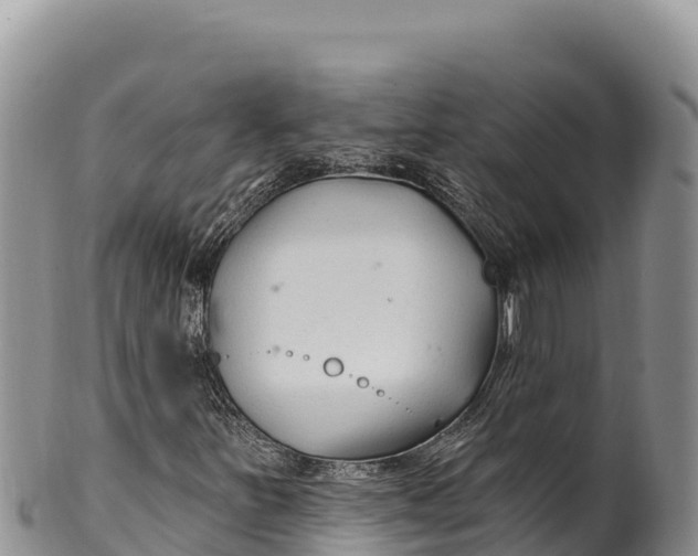 X0000100211251200806201437