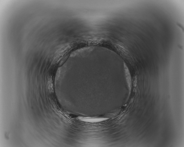 X0000100211252200806201437