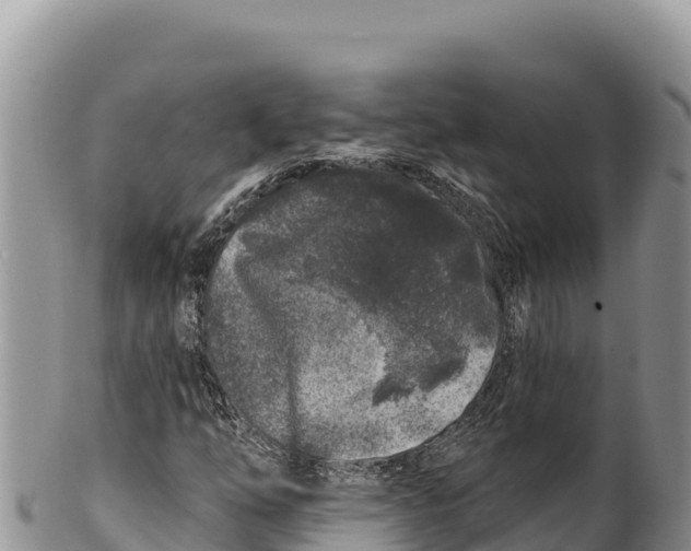 X0000100211254200806201437