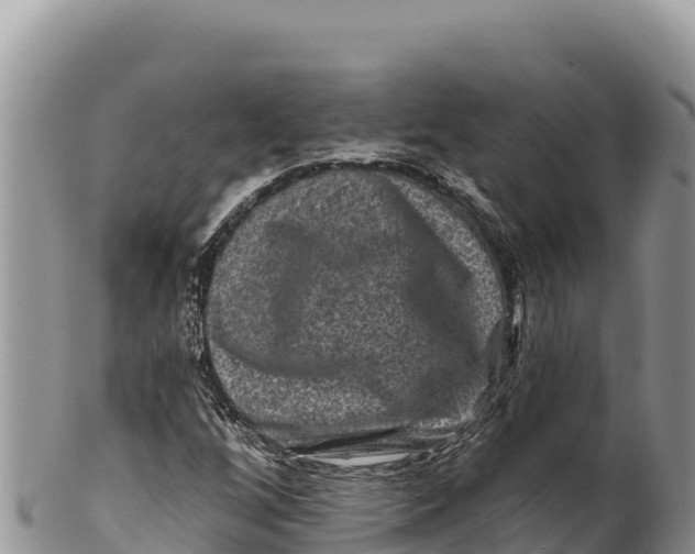 X0000100211256200806201436