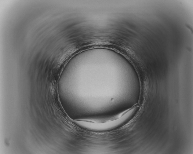 X0000100211257200806201436